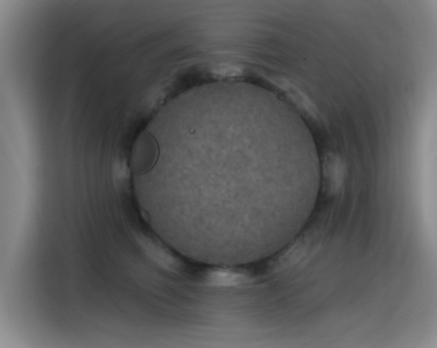 X0000115400614200911101513