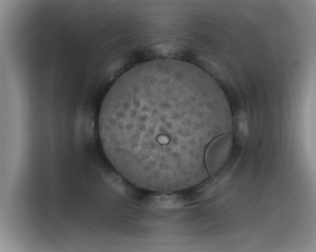 X0000115400615200911101513