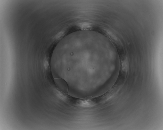 X0000115400618200911101513