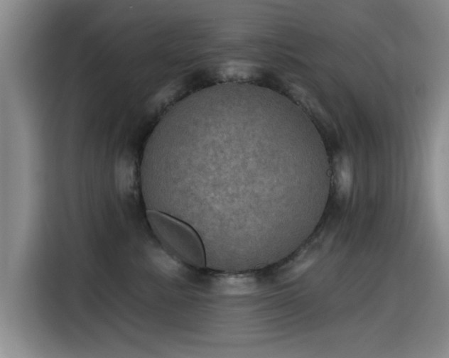 X0000115400619200911101513