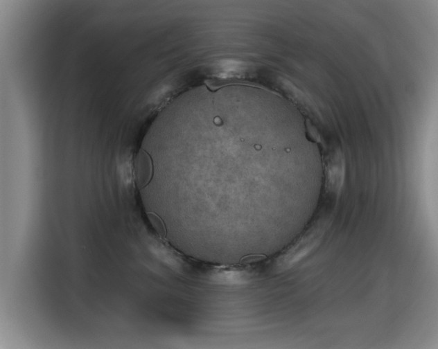 X0000115400620200911101513