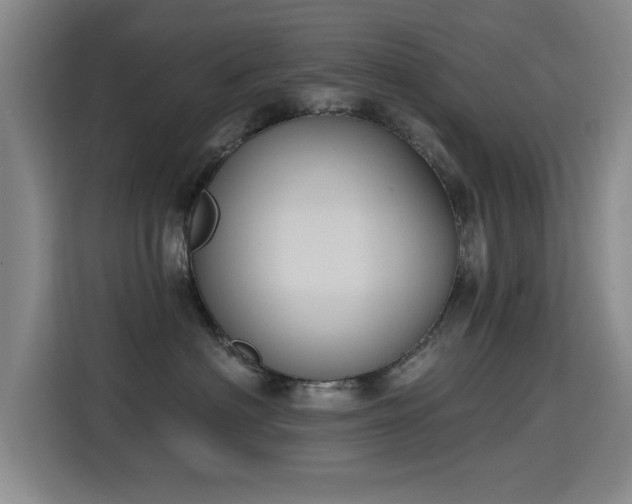 X0000115400622200911101513