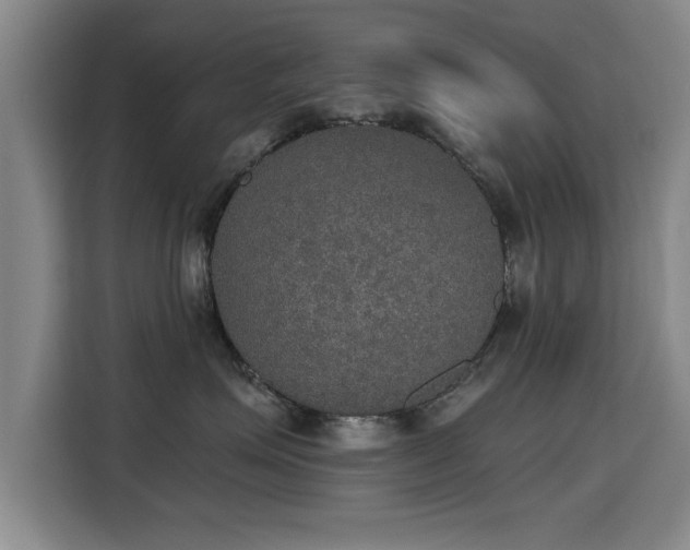 X0000115400623200911101513