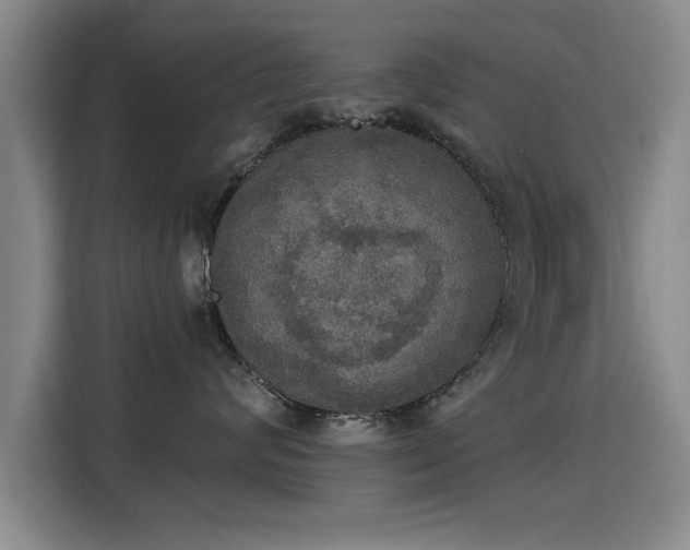 X0000115400624200911101513