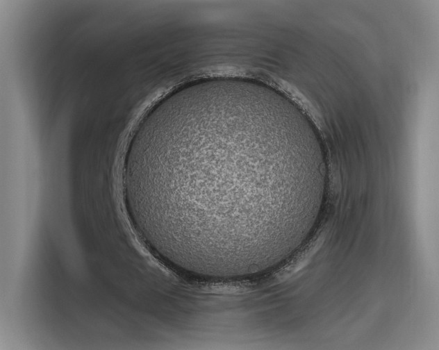 X0000115400625200911101513