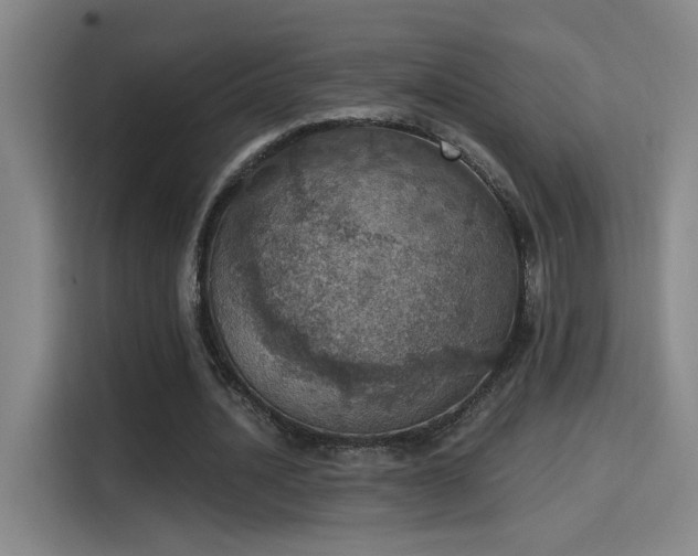 X0000115400628200911101513