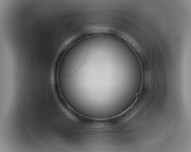 X0000115400629200911101513