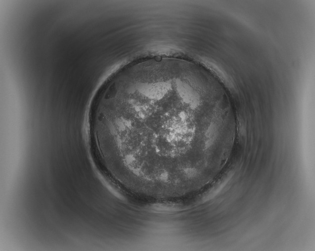 X0000115400630200911101513