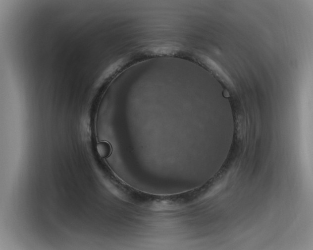 X0000115400634200911101513