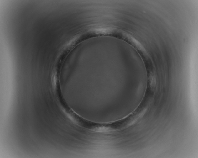 X0000115400637200911101513
