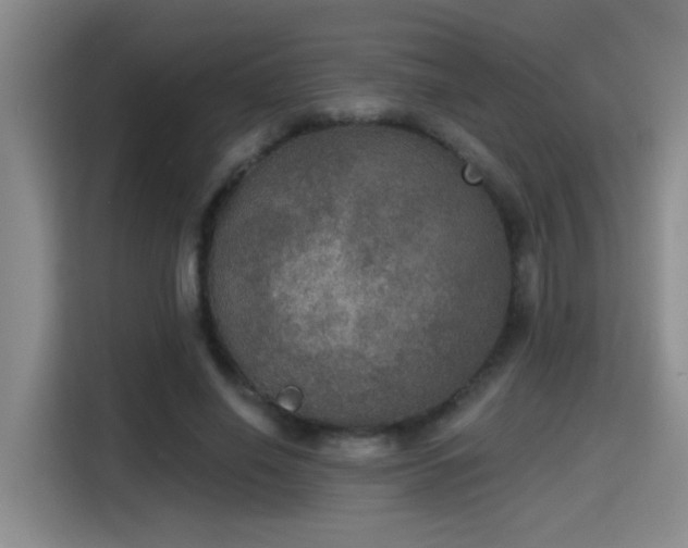 X0000115400638200911101513