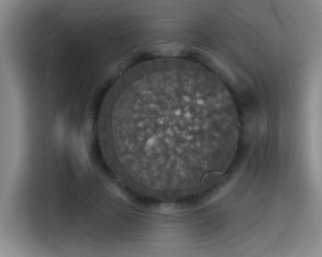 X0000115400641200911101513