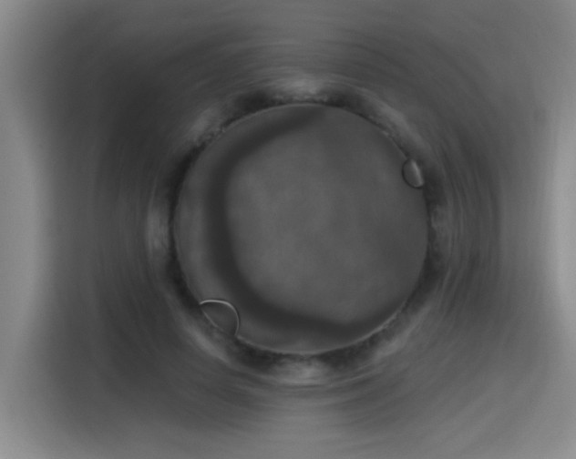 X0000115400642200911101513