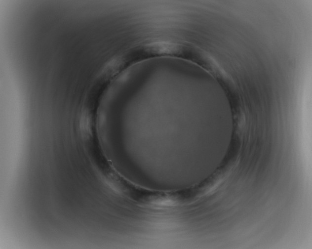 X0000115400643200911101513
