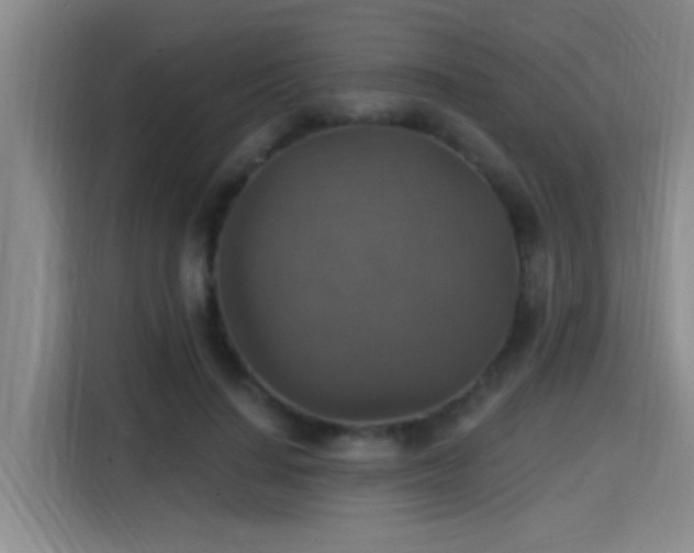 X0000115400644200911101513