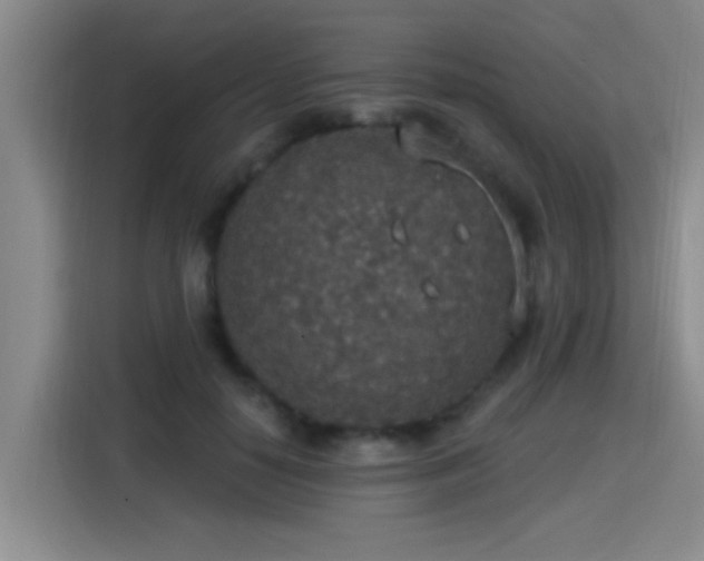 X0000115400650200911101513