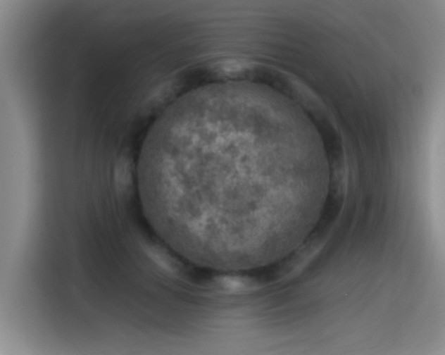 X0000115400654200911101513