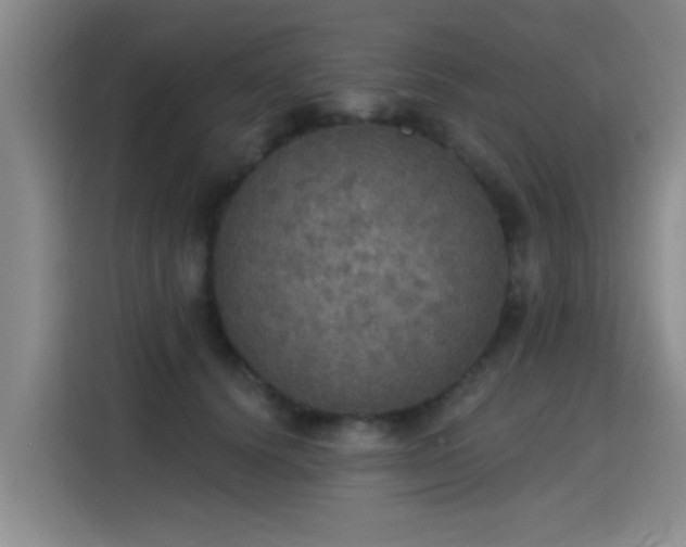 X0000115400656200911101513