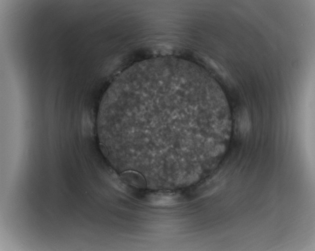 X0000115400661200911101513
