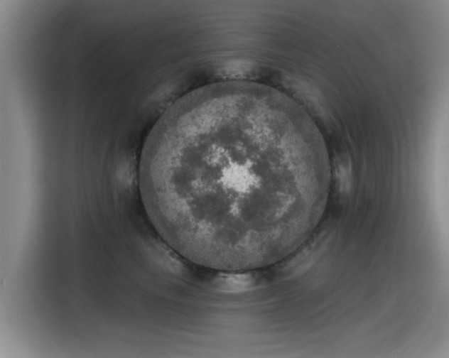 X0000115400665200911101513