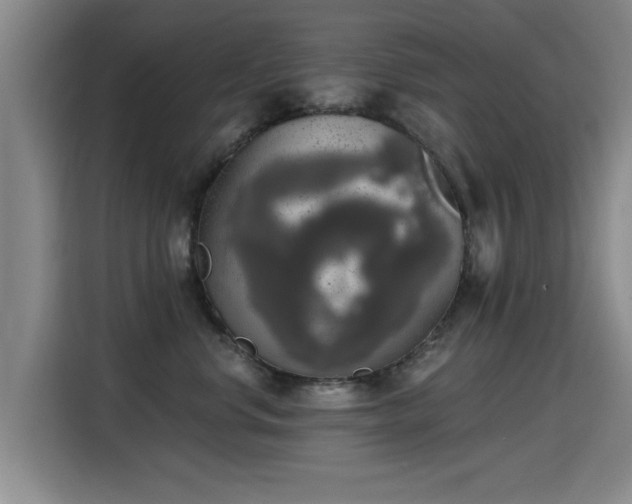 X0000115400668200911101513