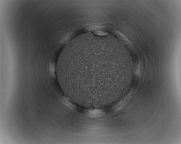 X0000115400669200911101513