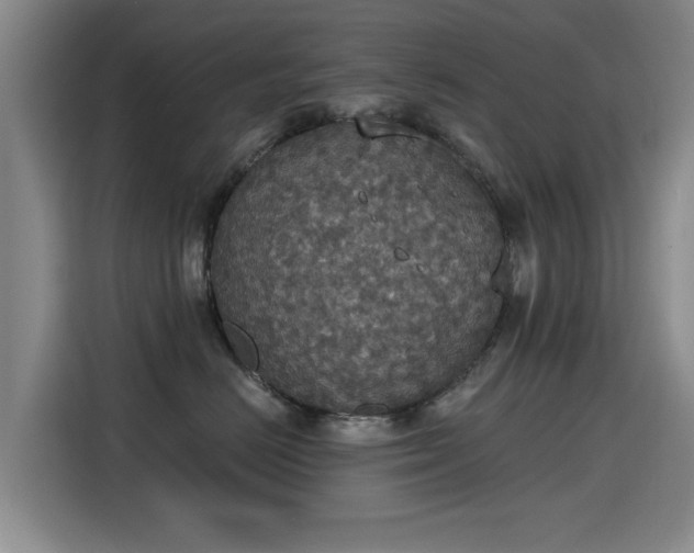 X0000115400670200911101513