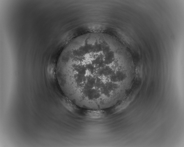 X0000115400671200911101513