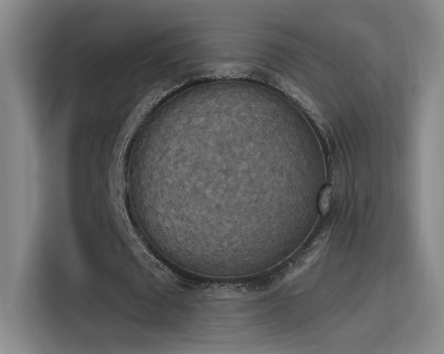 X0000115400673200911101513