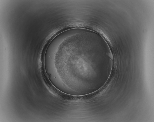 X0000115400674200911101513