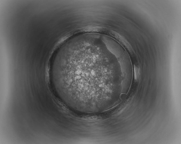 X0000115400675200911101513