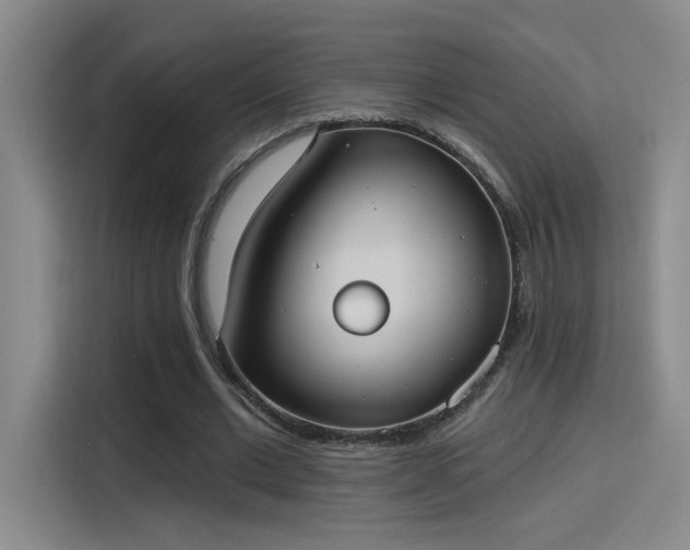 X0000115400677200911101513