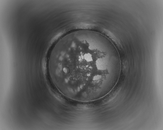X0000115400679200911101513