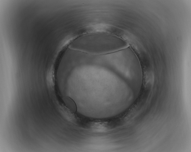 X0000115400680200911101513