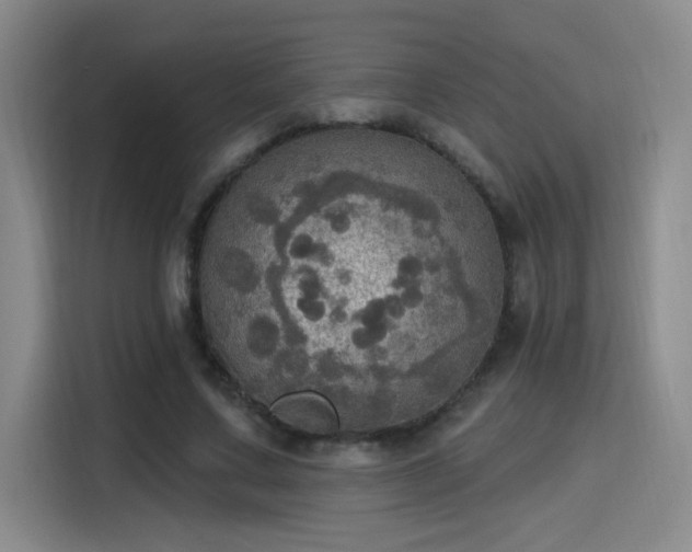 X0000115400683200911101513