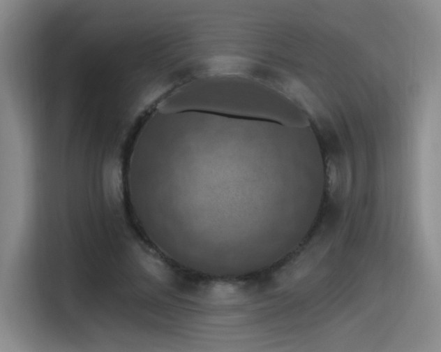 X0000115400684200911101513