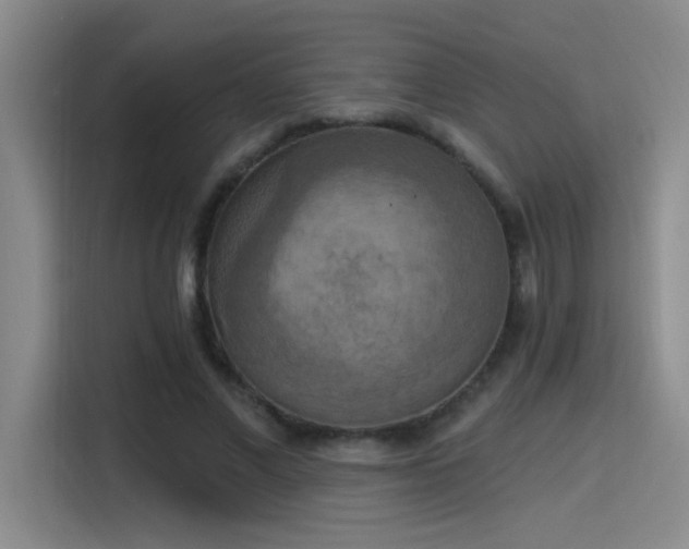 X0000115400685200911101513