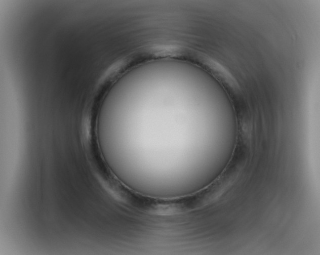 X0000115400686200911101513