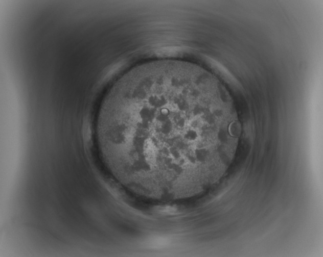X0000115400687200911101512