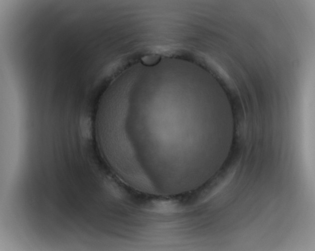 X0000115400689200911101512