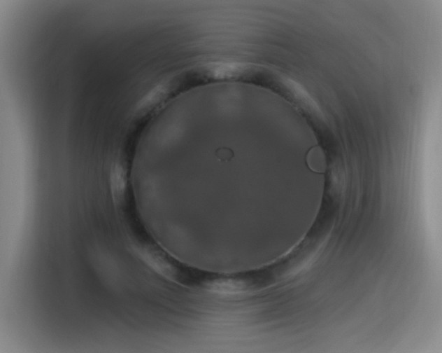 X0000115400691200911101512