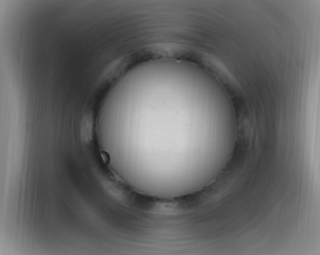 X0000115400694200911101512