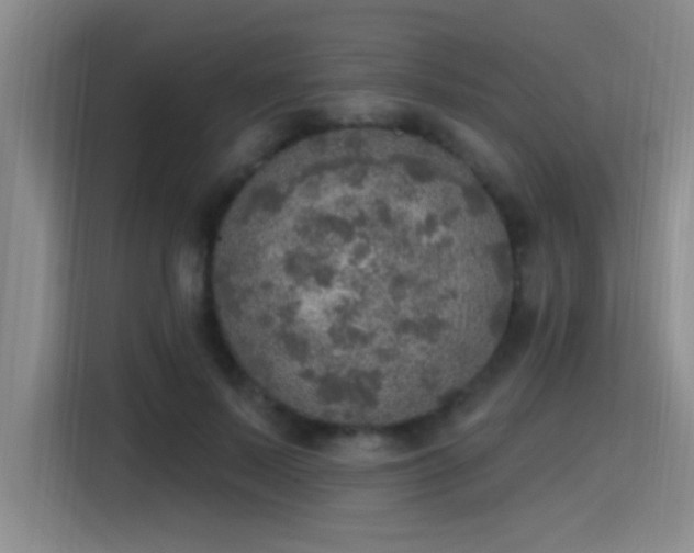 X0000115400695200911101512