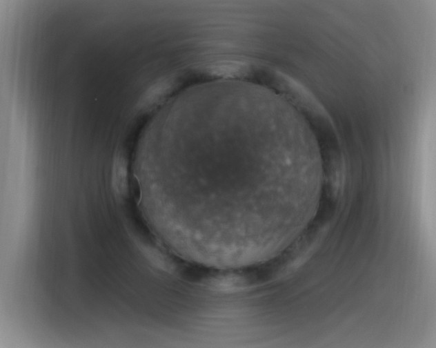 X0000115400696200911101512