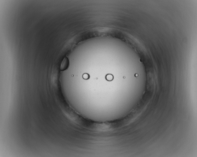 X0000115400698200911101512