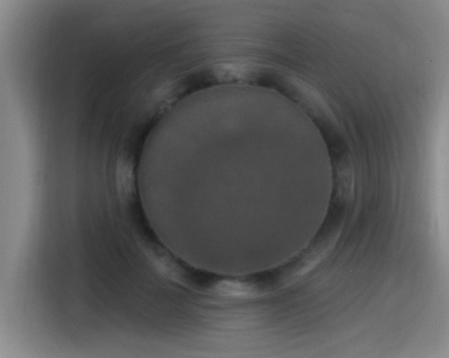 X0000115400699200911101512