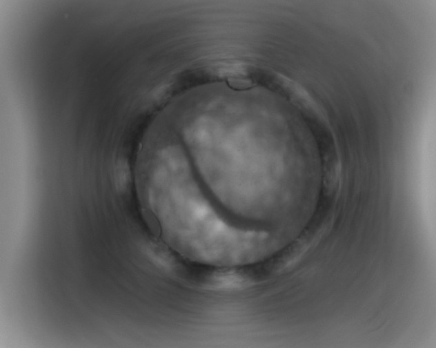 X0000115400704200911101512