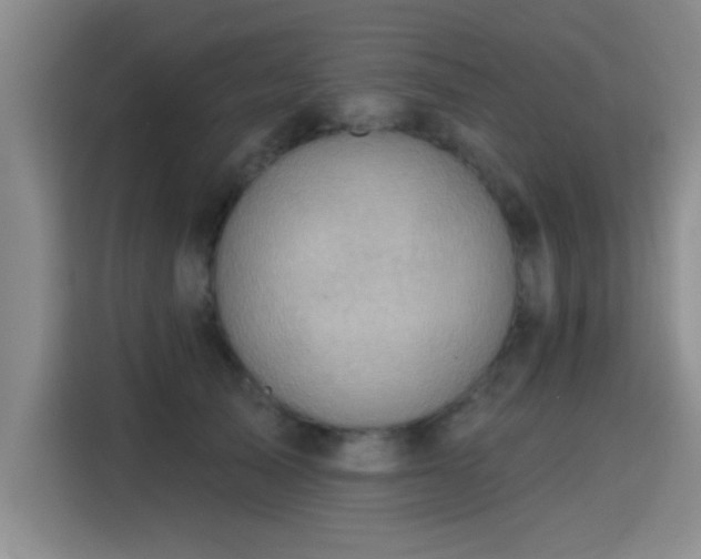 X0000115400705200911101512