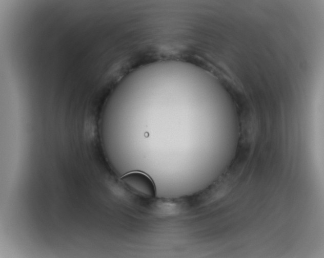 X0000115400706200911101512