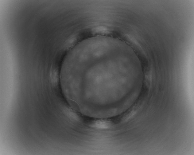 X0000115400708200911101512